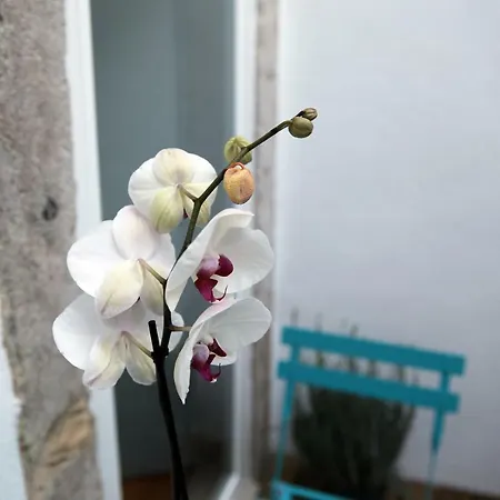 Santo Amaro'S House Apartment Lisbon Exterior photo